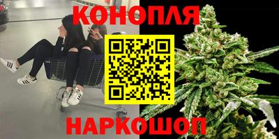 дживик Аргун