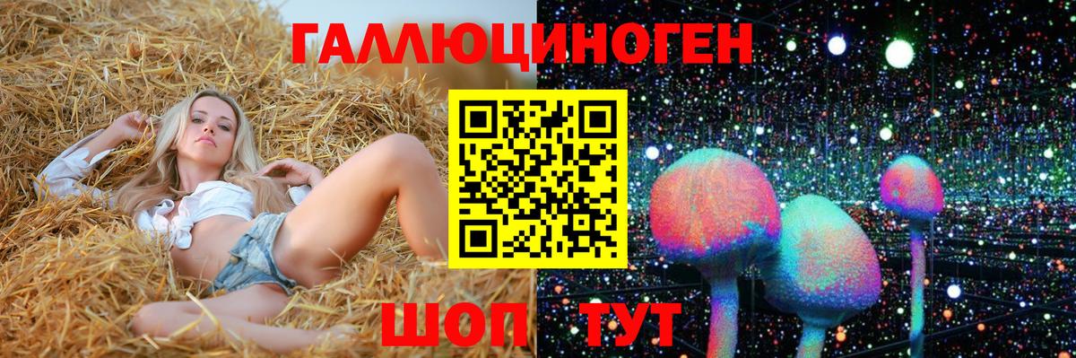 Галлюциногенные грибы мицелий  где купить   Псилоцибиновые грибы MAGIC MUSHROOMS  Саянск  Вход с VPN 