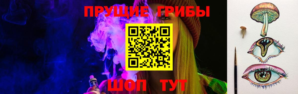 Псилоцибиновые грибы Psilocybe  магазин продажи наркотиков  Саянск  Вход с VPN 